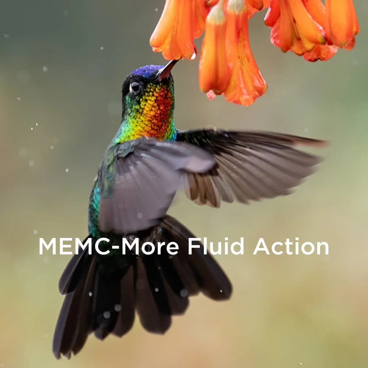 Bomaker Polaris 4K Laser TV2500 ANSI Dlp Smart UST Projector - Image 5